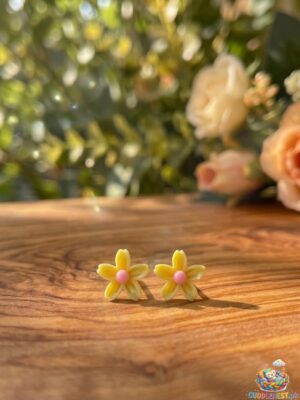 big stars tops earrings